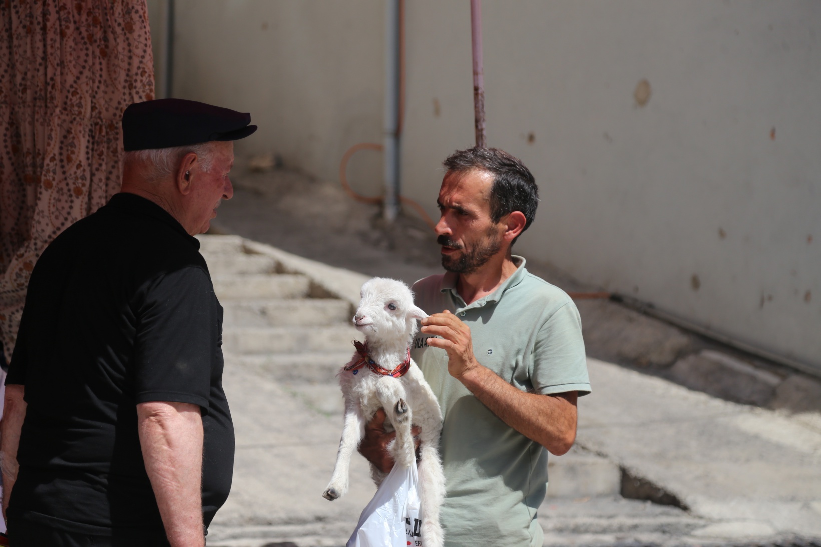 Bir çift ayakkabıyla takas ettiği kuzu yanından ayrılmıyor 8