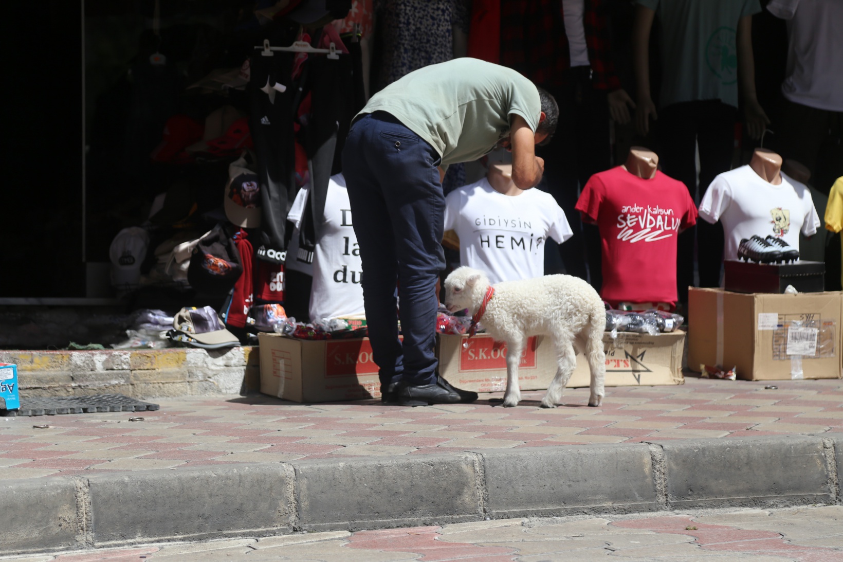 Bir çift ayakkabıyla takas ettiği kuzu yanından ayrılmıyor 11