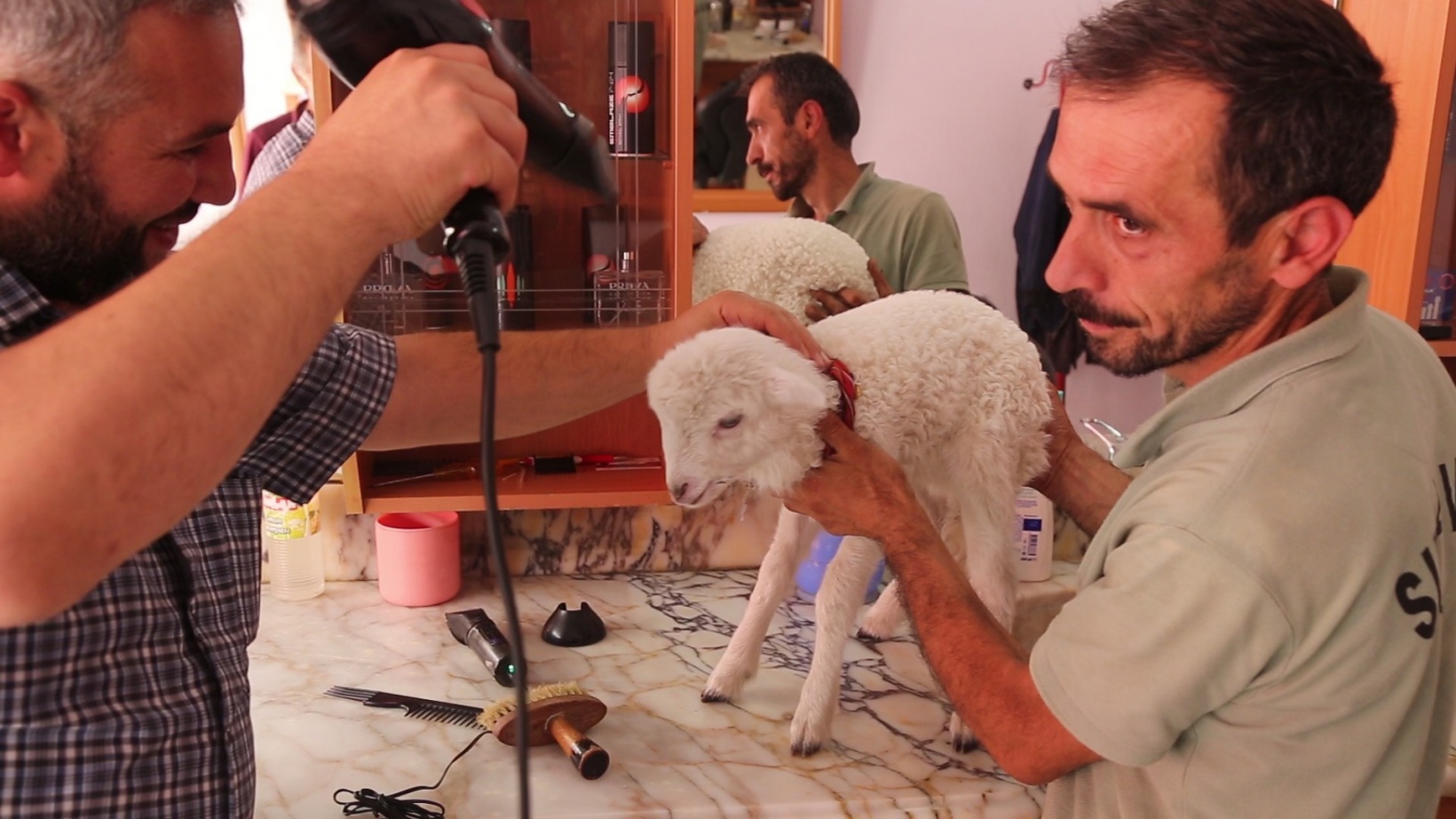 Bir çift ayakkabıyla takas ettiği kuzu yanından ayrılmıyor 7