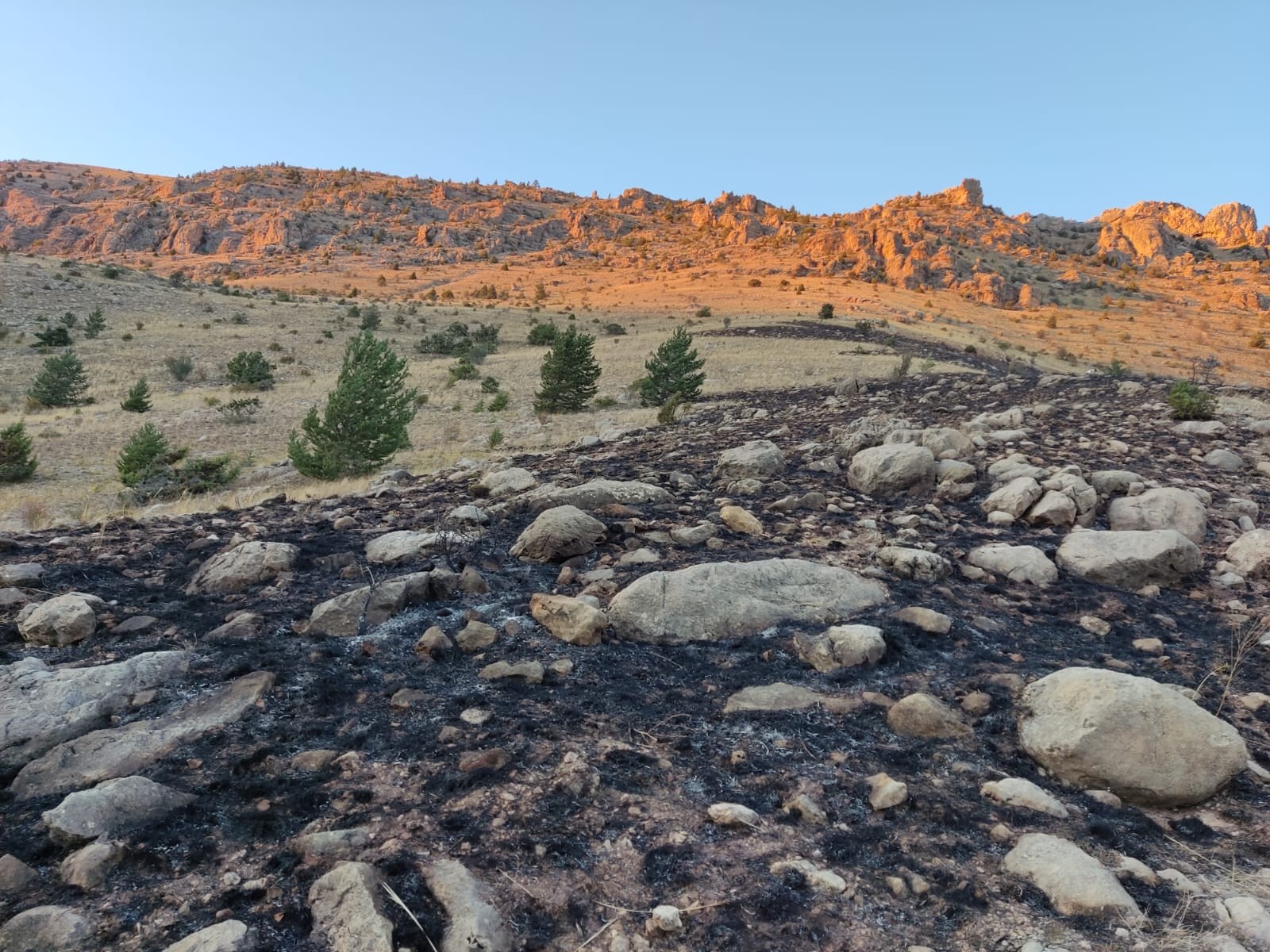Gümüşhane’de dağlık alanda çıkan yangın ekiplerin saatler süren çalışmasıyla söndürüldü 5