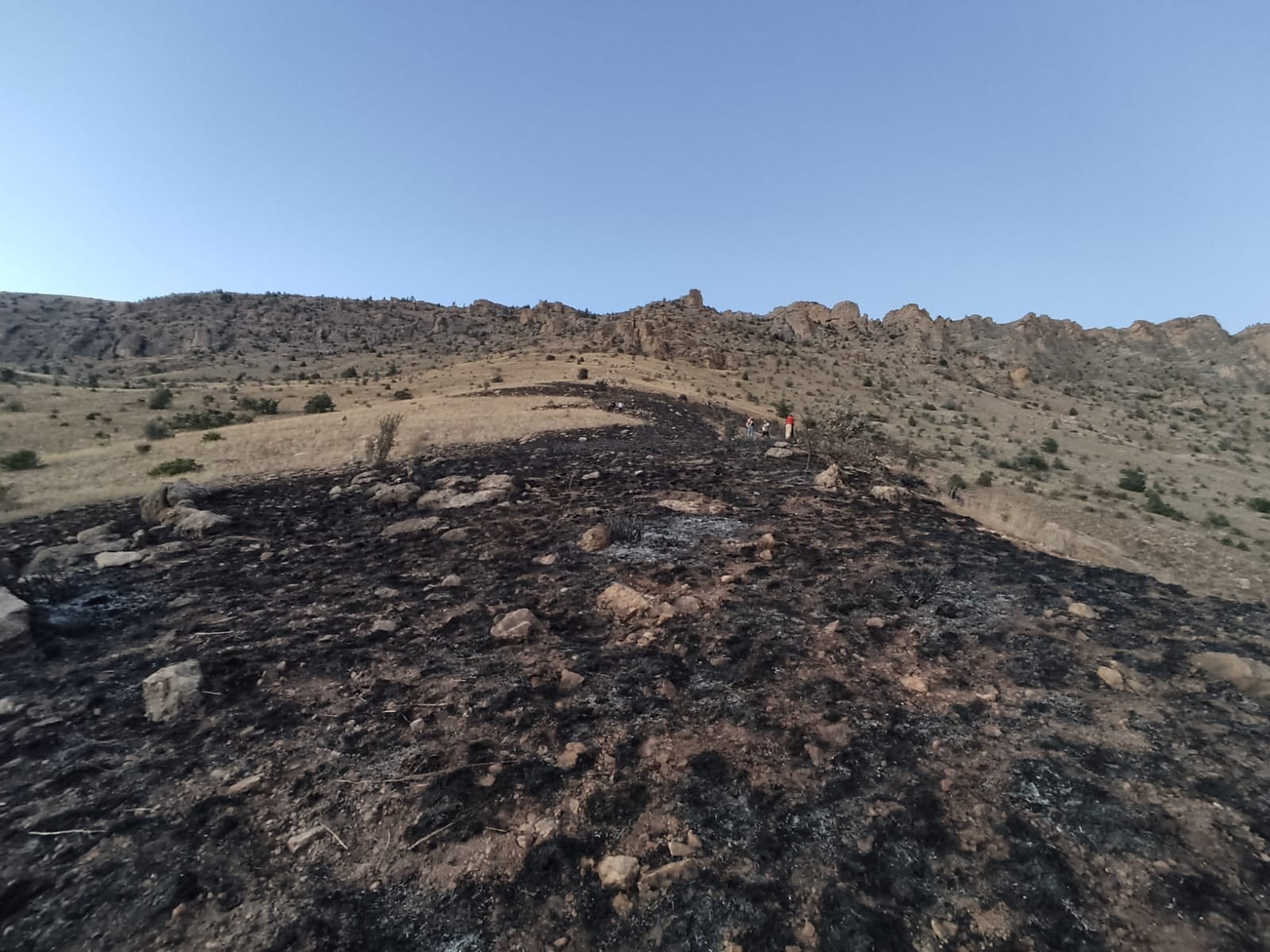 Gümüşhane’de dağlık alanda çıkan yangın ekiplerin saatler süren çalışmasıyla söndürüldü 4