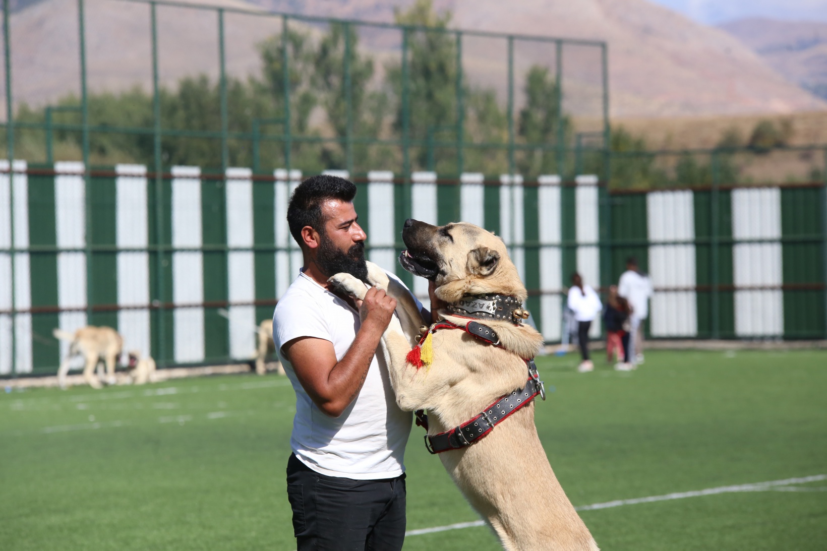 WAD Türkiye Yarışması Kelkit'te yapıldı 3