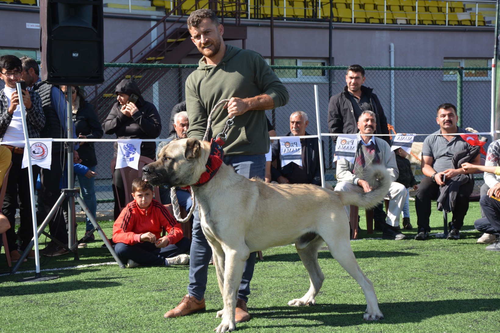 WAD Türkiye Yarışması Kelkit'te yapıldı 7
