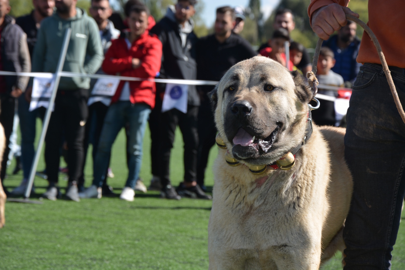 WAD Türkiye Yarışması Kelkit'te yapıldı 8