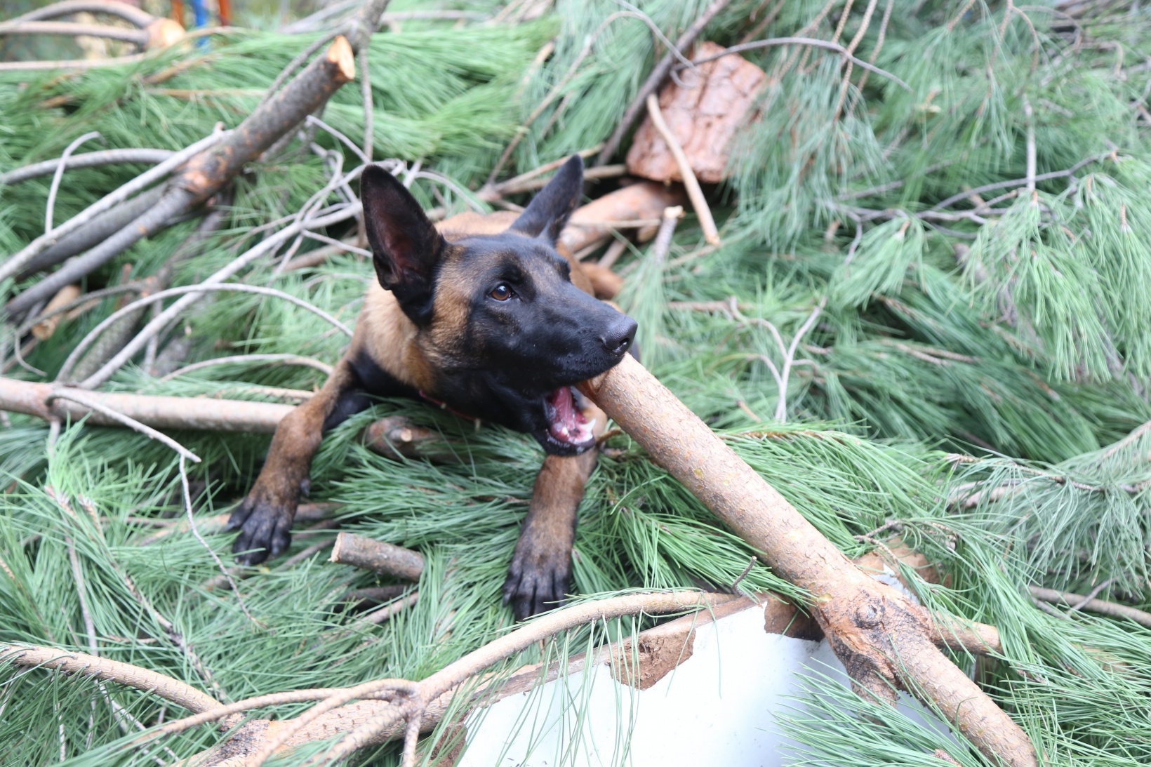 Bu bölüm Türkiye’de tek 5