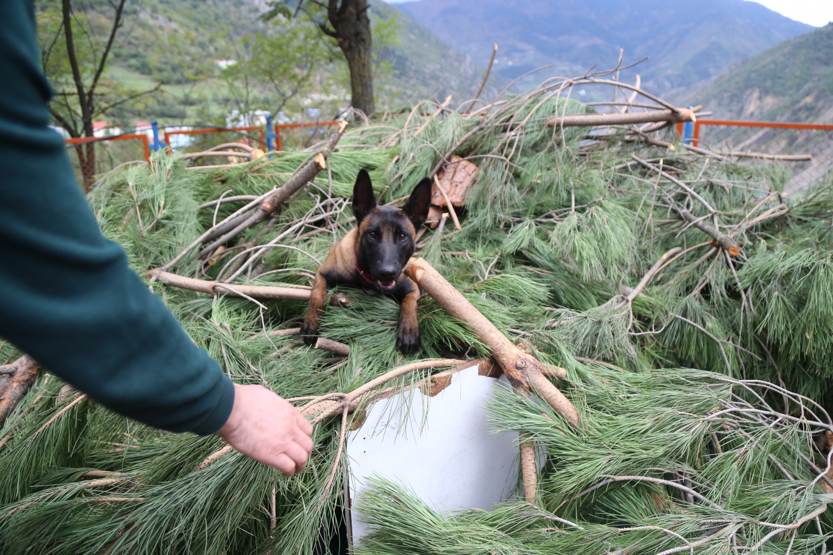 Bu bölüm Türkiye’de tek 4