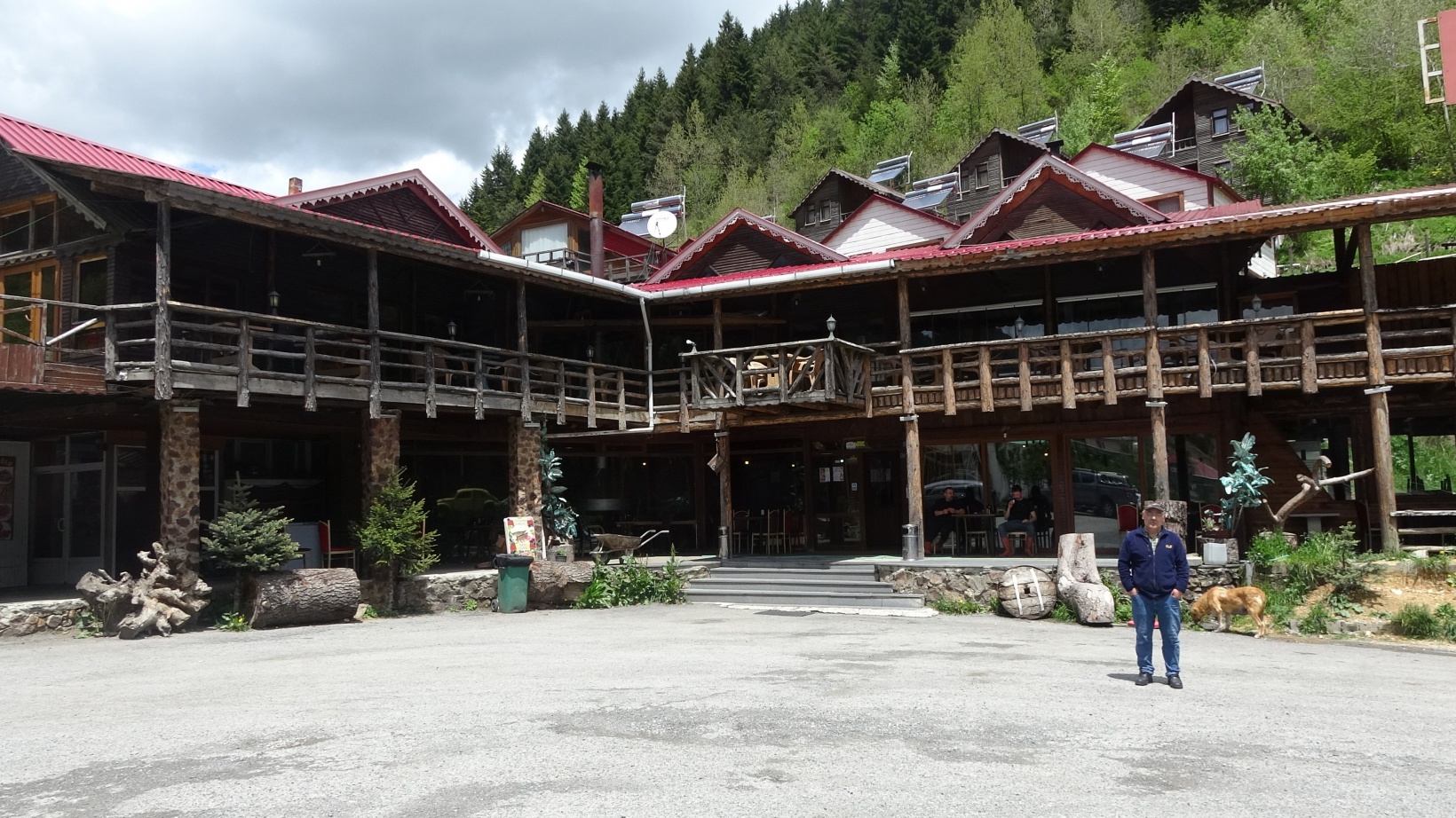 Her gün binlerce aracın geçiş yaptığı yol artık sessizliğe büründü 13