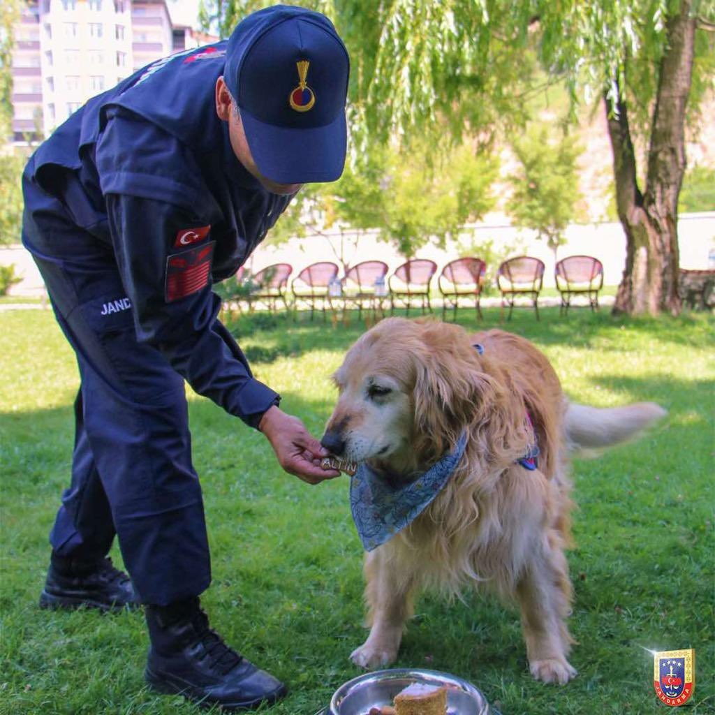 Uyuşturucu arama köpeği ‘Altın’ pasta kesilerek emekli edildi  3