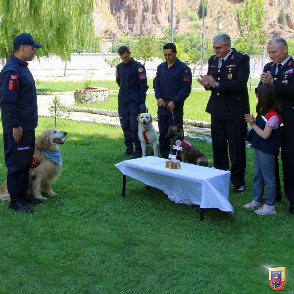 Uyuşturucu arama köpeği ‘Altın’ pasta kesilerek emekli edildi  9