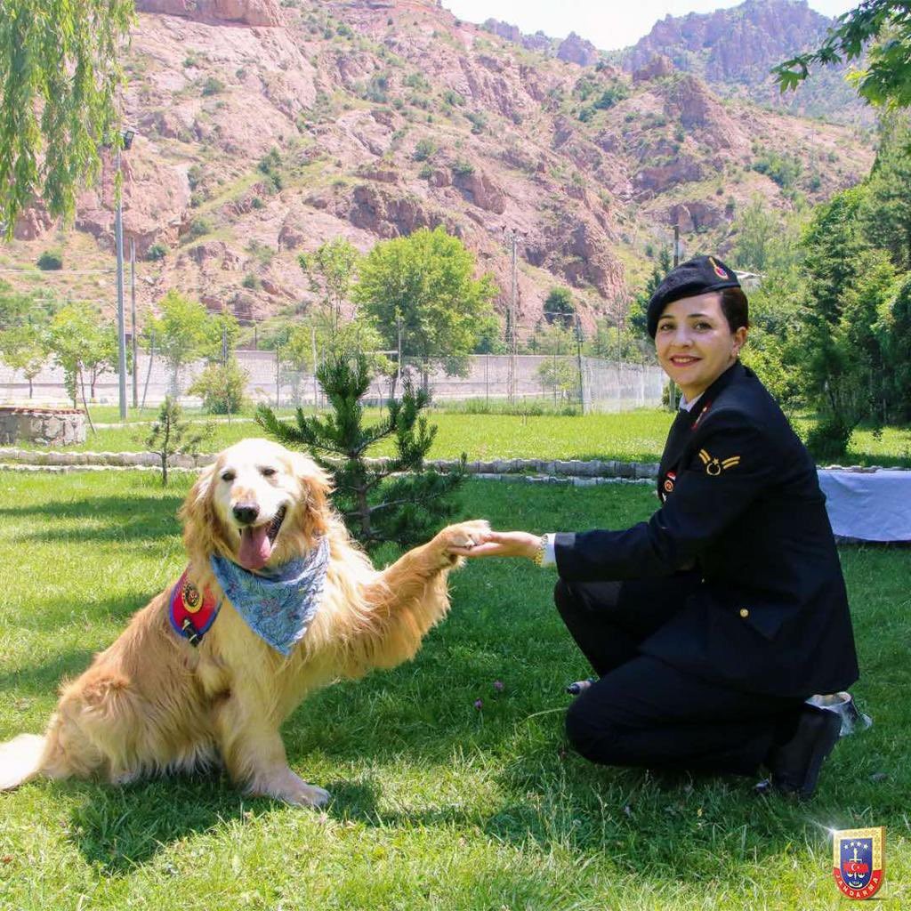 Uyuşturucu arama köpeği ‘Altın’ pasta kesilerek emekli edildi  13