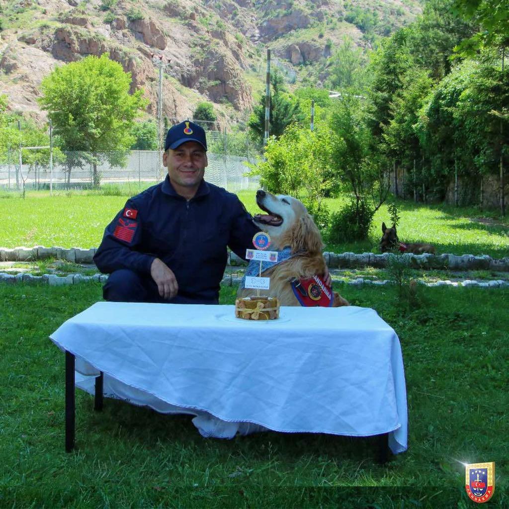 Uyuşturucu arama köpeği ‘Altın’ pasta kesilerek emekli edildi  7