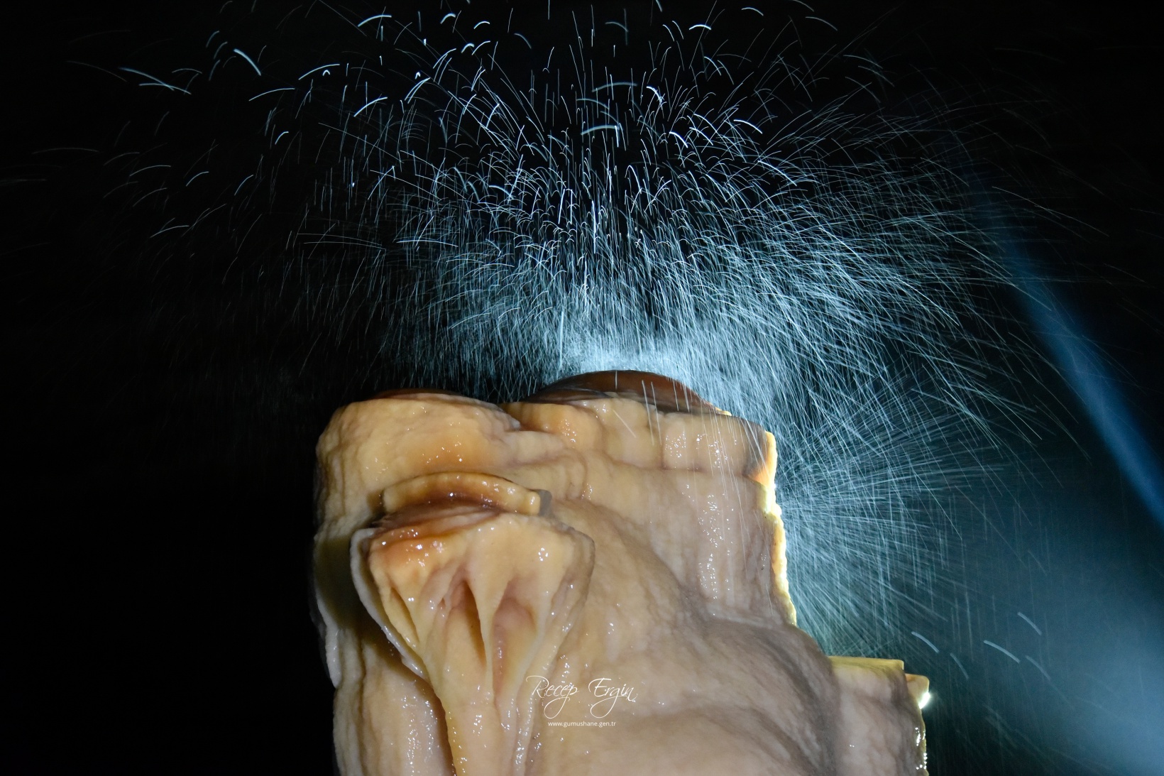 Gümüşhane'nin derinliklerinde gizemli yolculuk: Akçakale Mağarası 19