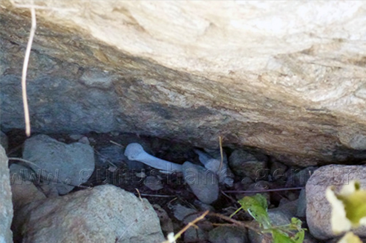 Artabel Gölleri Şehitlerini Arıyor 1