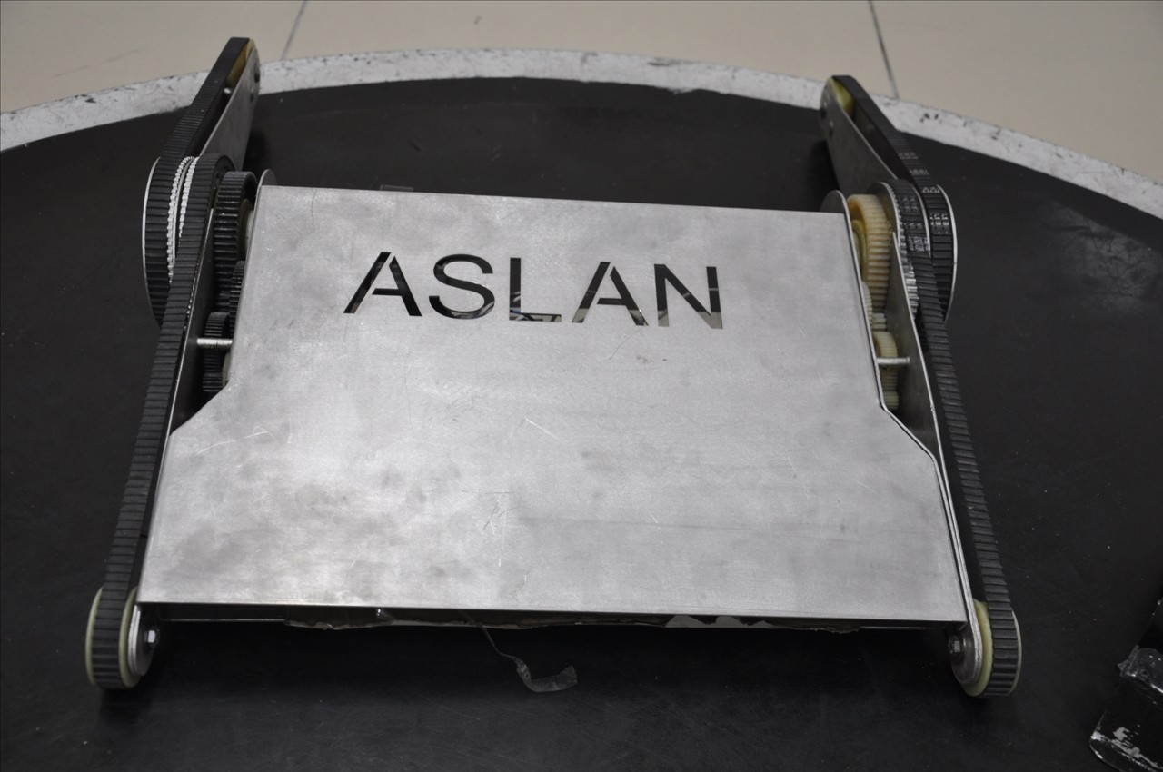 Aslan, Gümüş 1 ve Fırtına Görücüye Çıktı 3