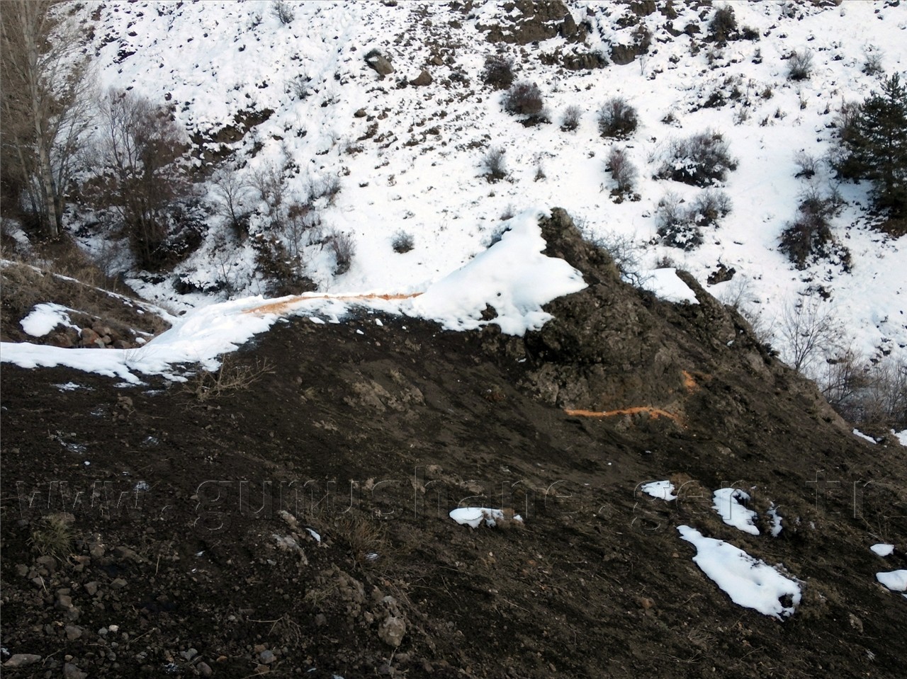 TEMA Yaban Hayatına Sahip Çıktı 1