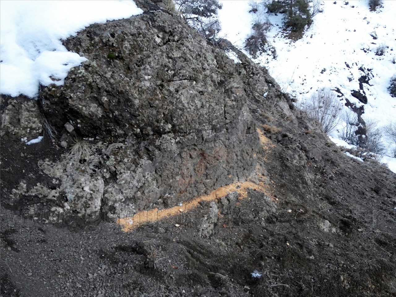 TEMA Yaban Hayatına Sahip Çıktı 2