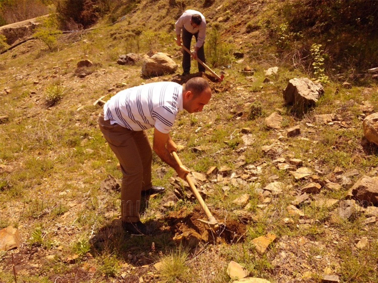 TEMA, 300 Fidanı Toprakla Buluşturdu 5