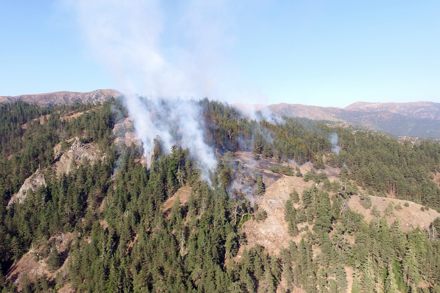 Gümüşhane'de orman yangını 3