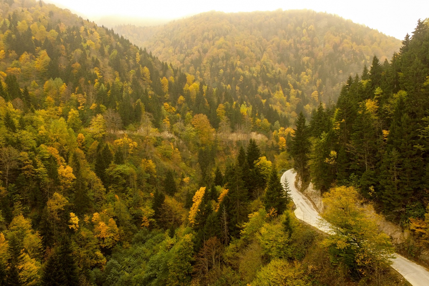 Arapların ‘Hayalimdeki Cennet’ dedikleri Örümcek Ormanlarında sonbahar bir başka güzel 26