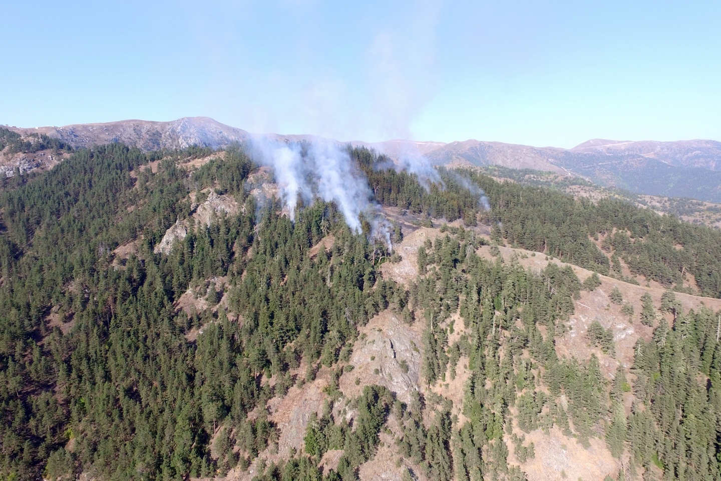 Gümüşhane'de orman yangını 7
