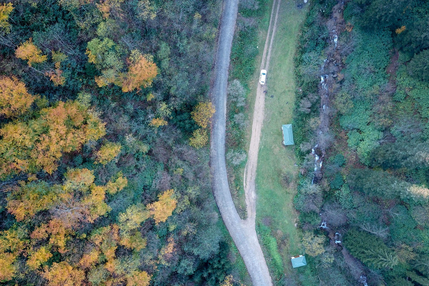 Örümcek Ormanlarında renk cümbüşü 39