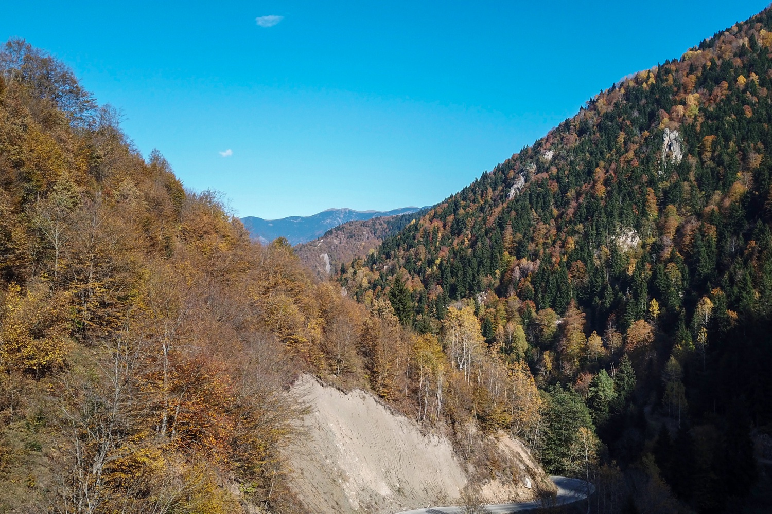 Örümcek Ormanlarında renk cümbüşü 40