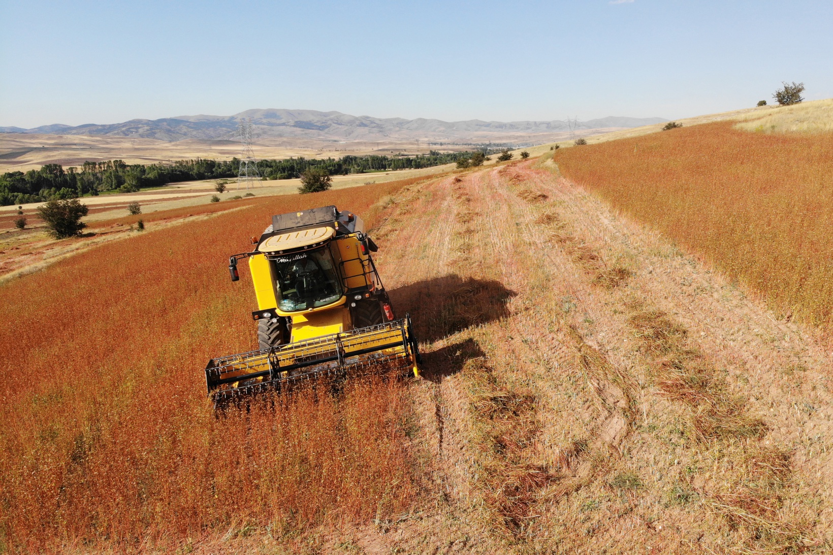 Gümüşhane karabuğdayın başkenti olma yolunda ilerliyor 5