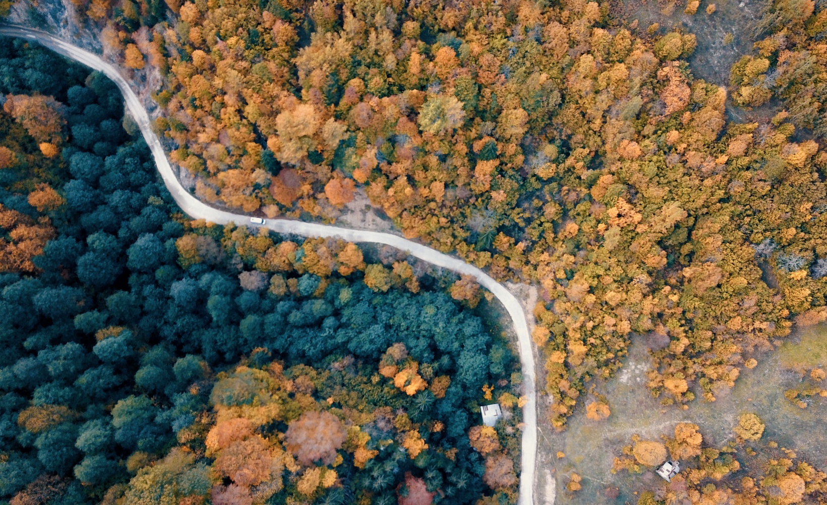 Örümcek Ormanları büyüleyici hale büründü 14