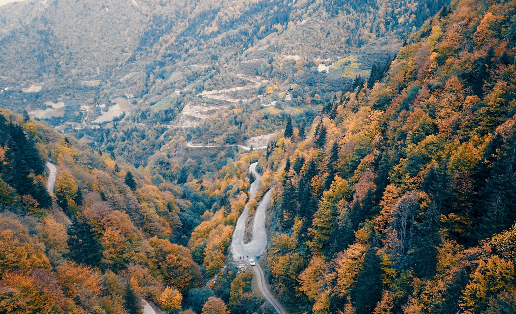 Örümcek Ormanları büyüleyici hale büründü 4