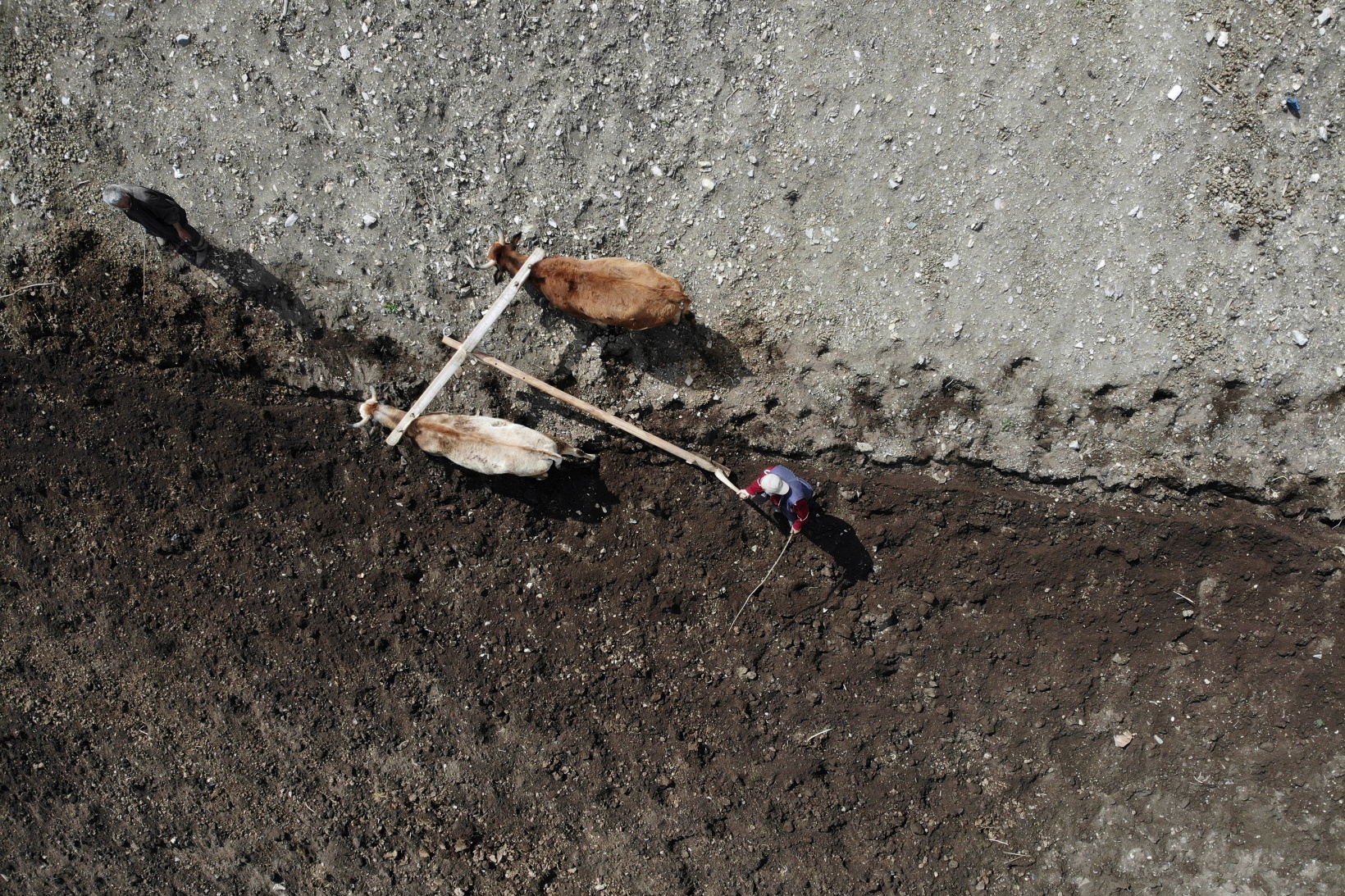 Zorlu şartlara rağmen karasaban ile üretime devam ediyorlar 8