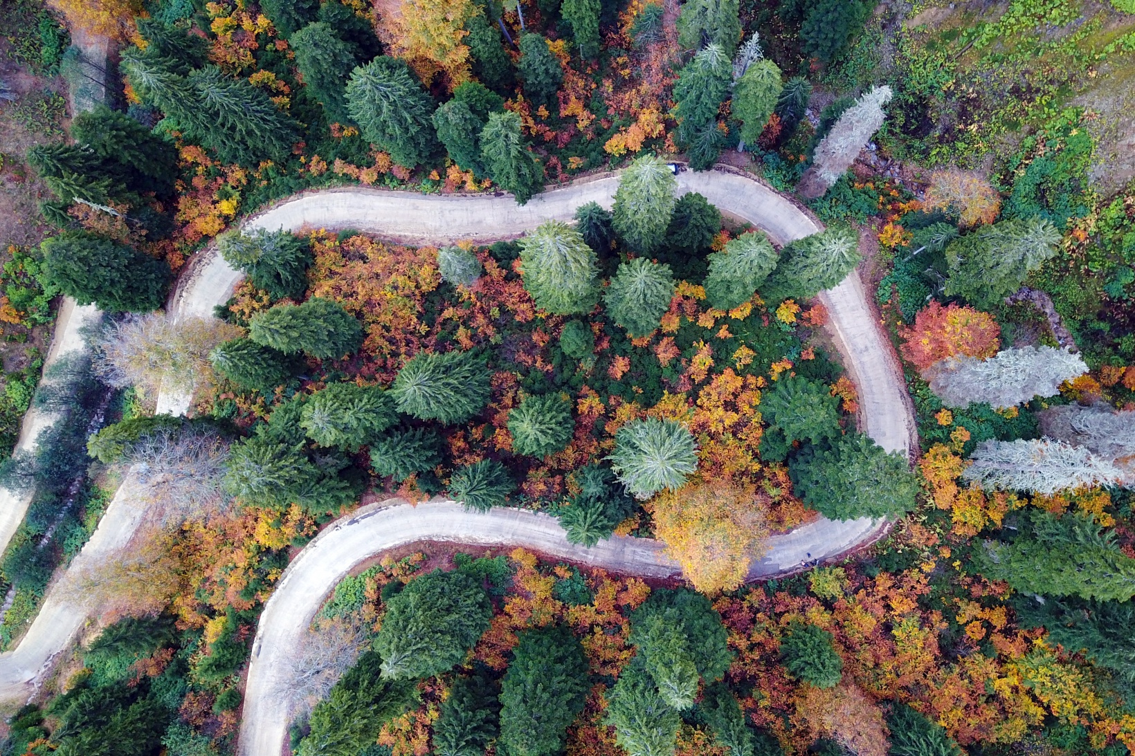 Gümüşhane’de korunan alanlara çeyrek milyon ziyaretçi 6