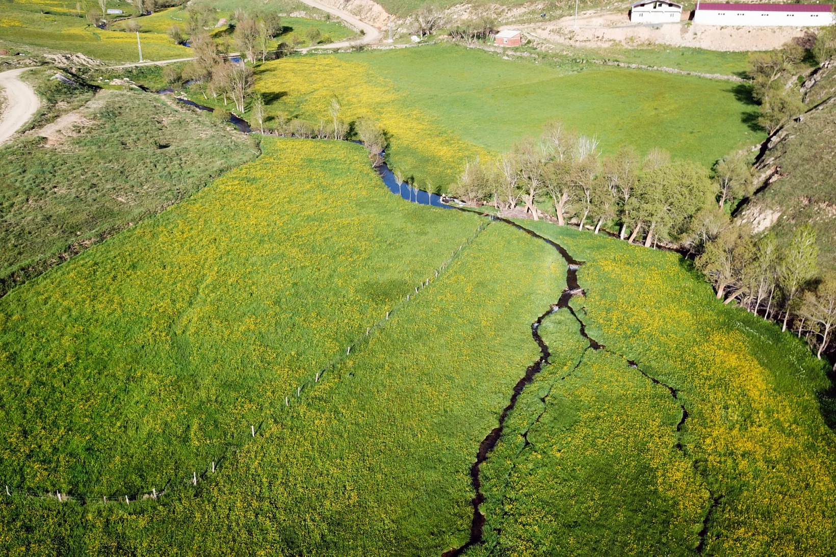 Bu manzarayı görebilmek için 10 gün kaldı 15
