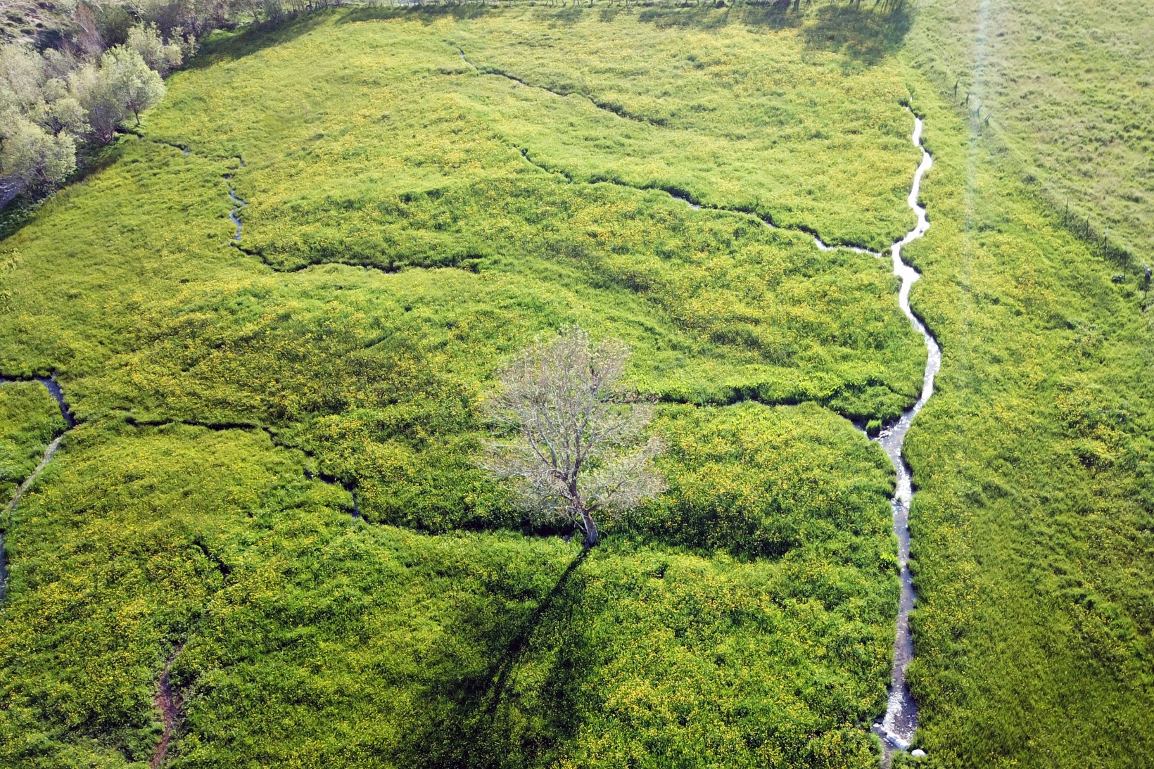 Bu manzarayı görebilmek için 10 gün kaldı 10