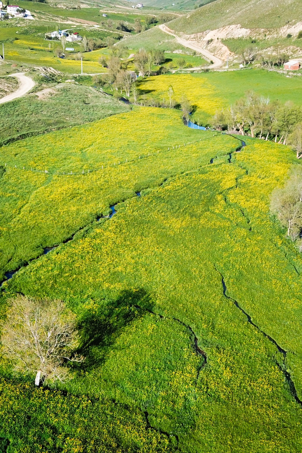 Bu manzarayı görebilmek için 10 gün kaldı 4