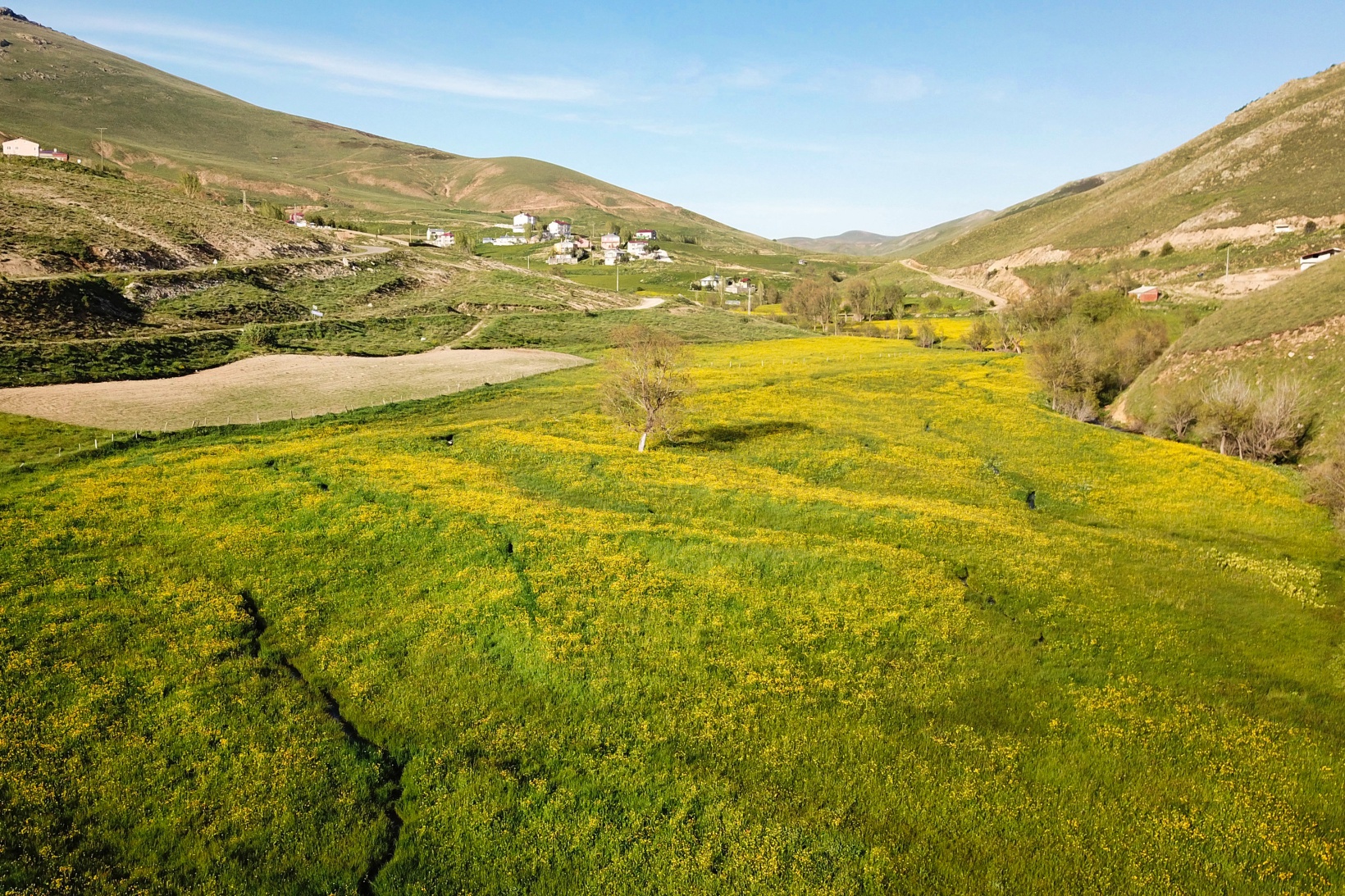 Bu manzarayı görebilmek için 10 gün kaldı 12