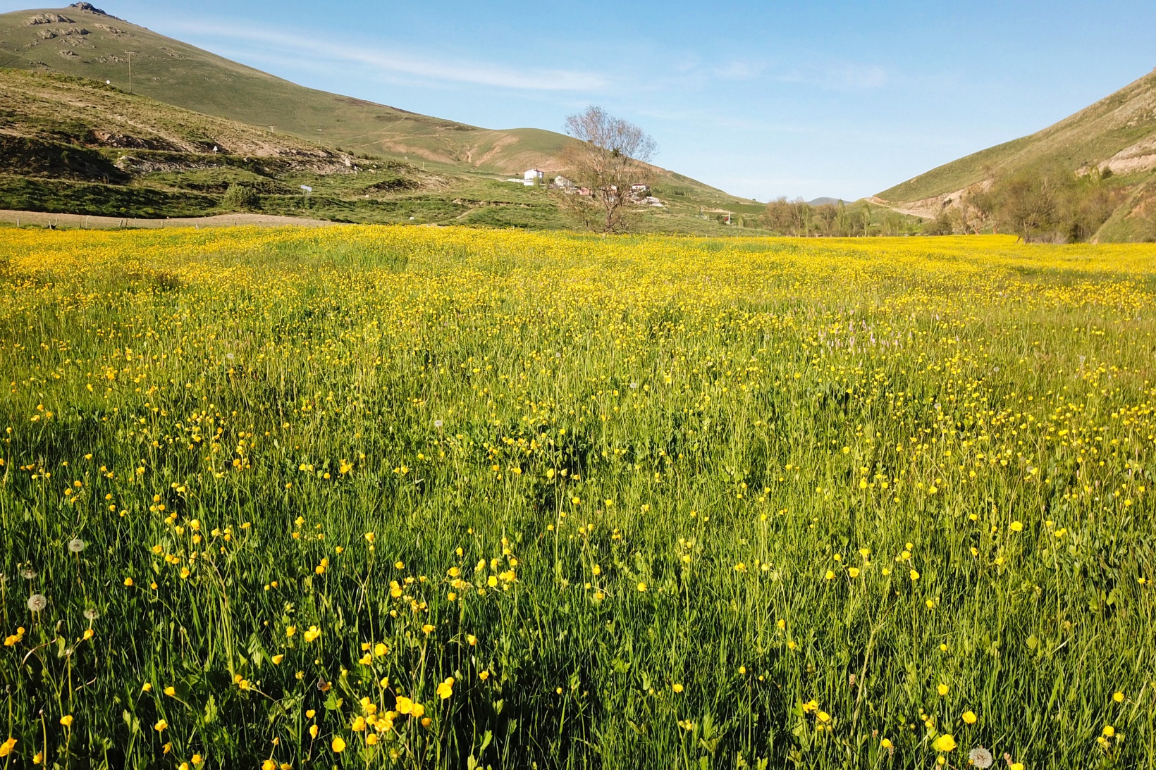 Bu manzarayı görebilmek için 10 gün kaldı 8