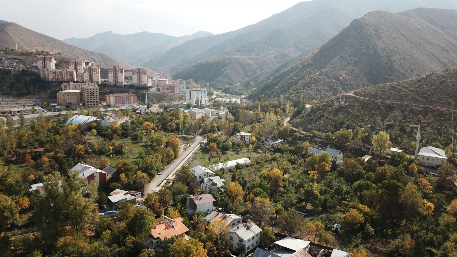 Bu elma sadece Gümüşhane’de yetişiyor 16