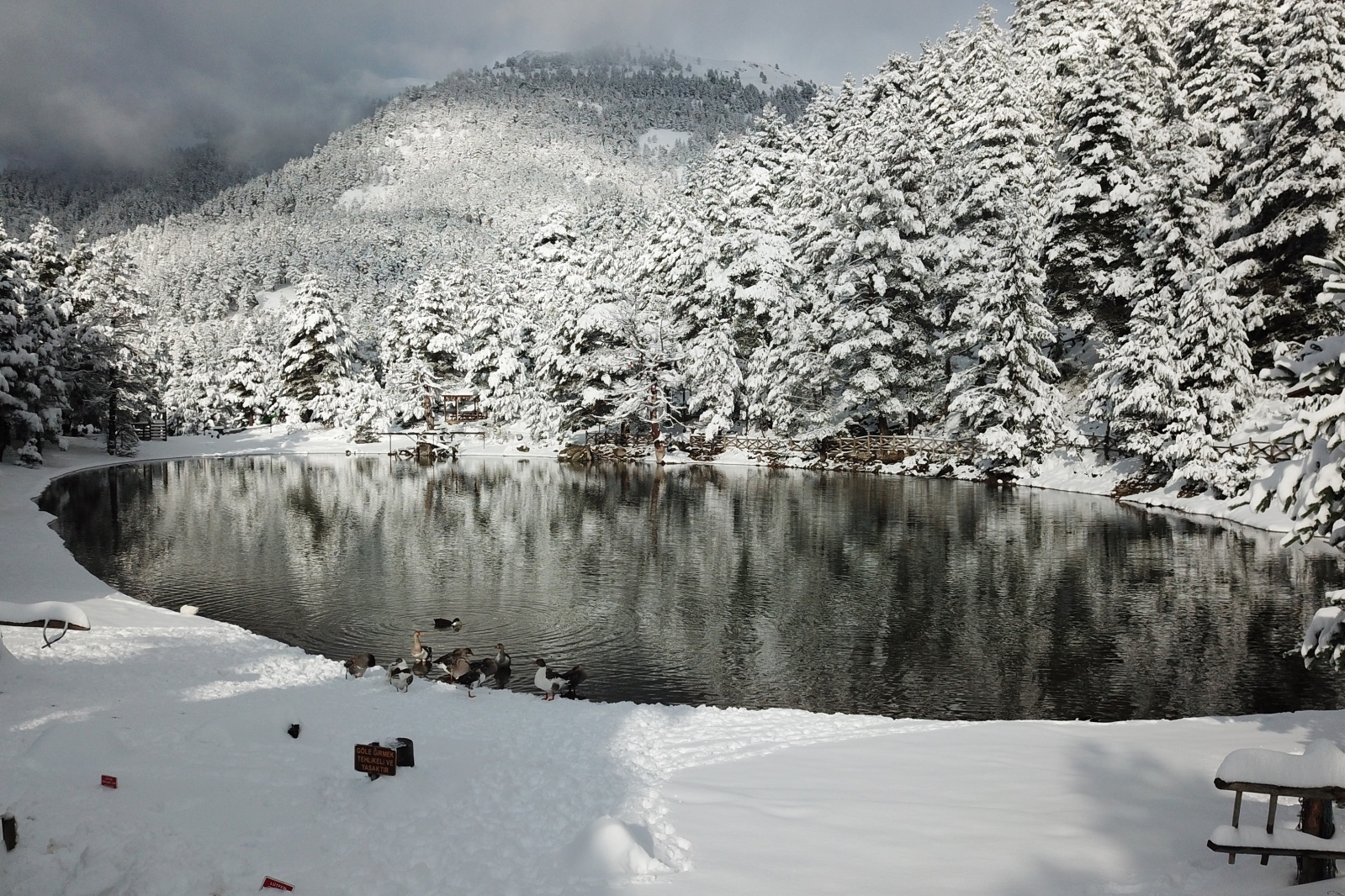 Beyazın en çok yakıştığı yer: Limni Gölü 15