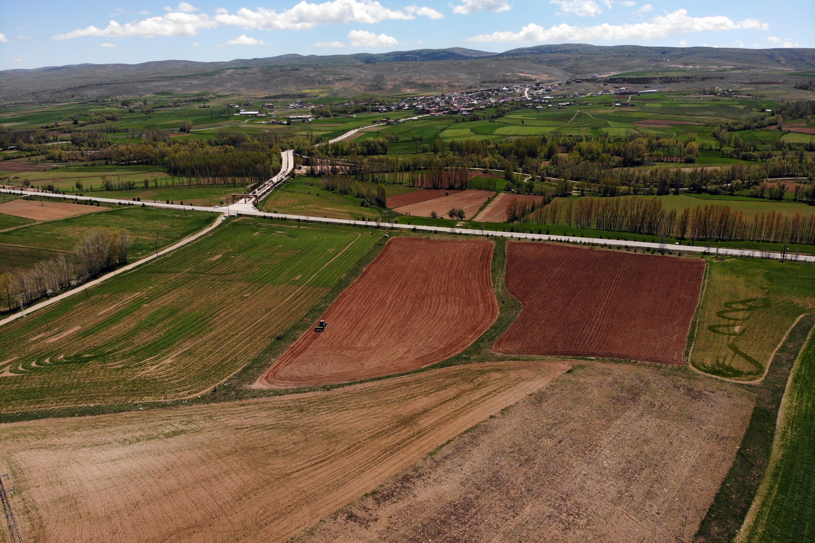 Gümüşhane’de karabuğday çiftçilerin umudu oldu 2