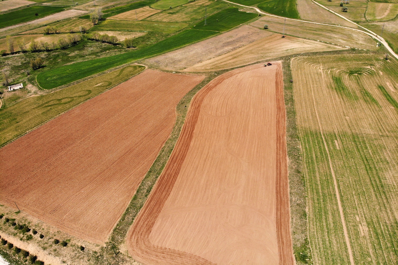 Gümüşhane’de karabuğday çiftçilerin umudu oldu 7