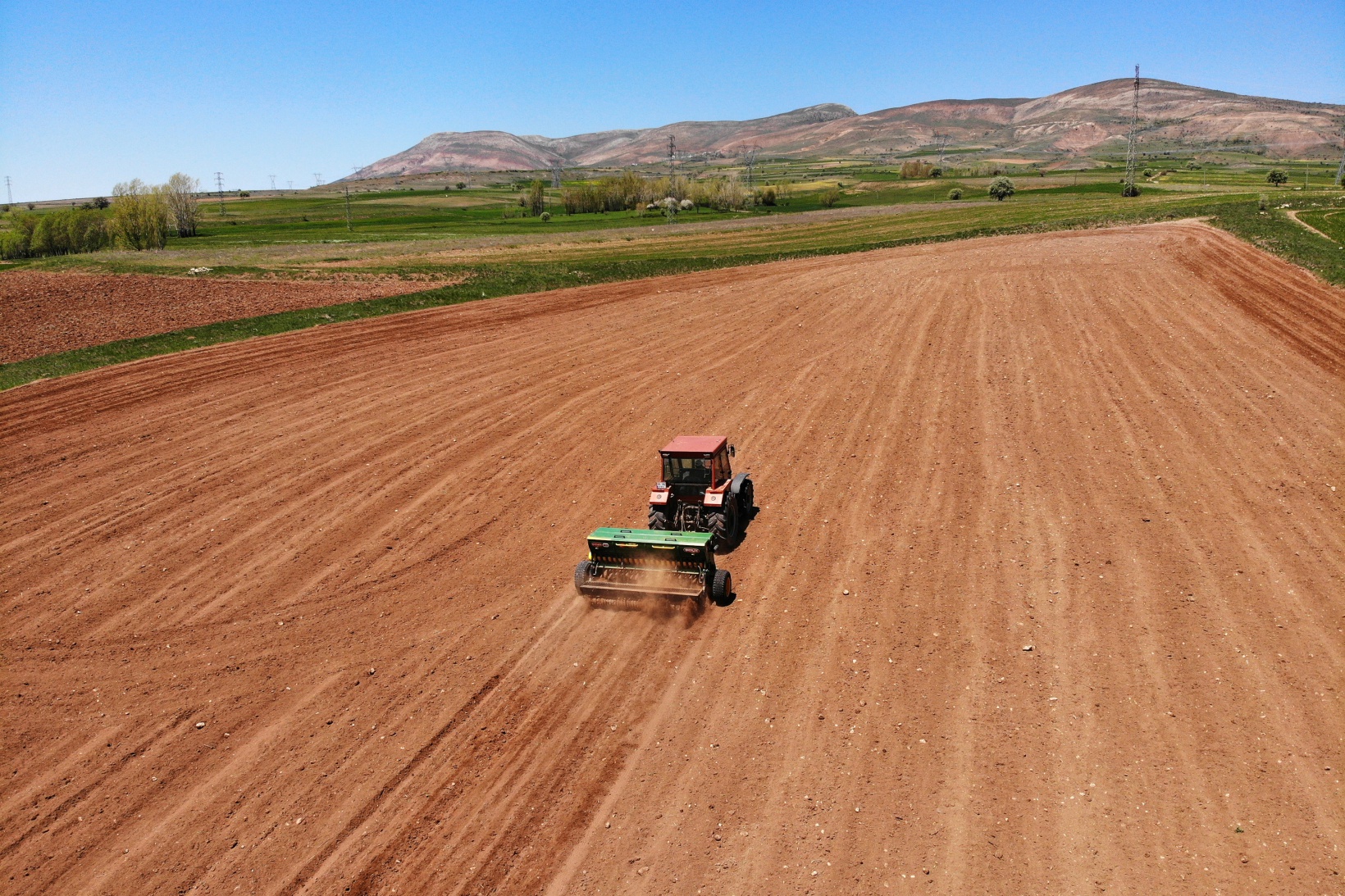 Gümüşhane’de karabuğday çiftçilerin umudu oldu 4