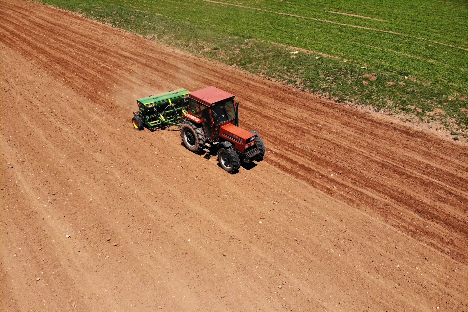Gümüşhane’de karabuğday çiftçilerin umudu oldu 9