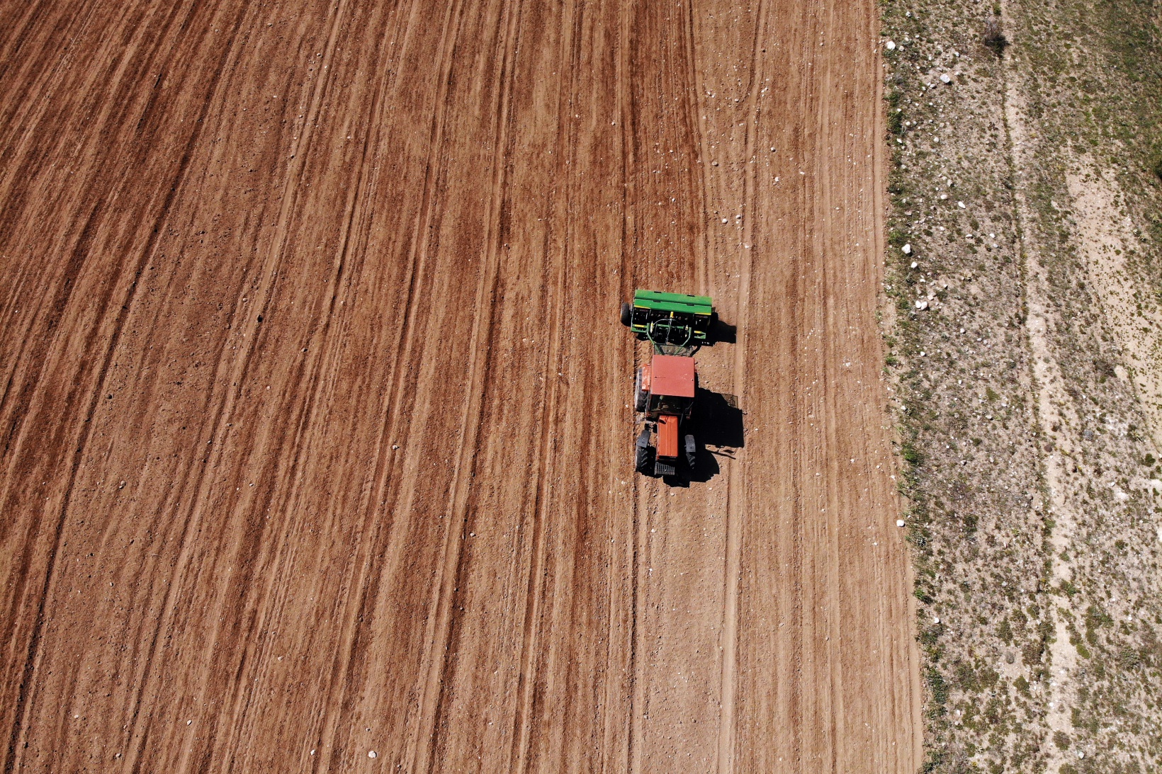 Gümüşhane’de karabuğday çiftçilerin umudu oldu 12