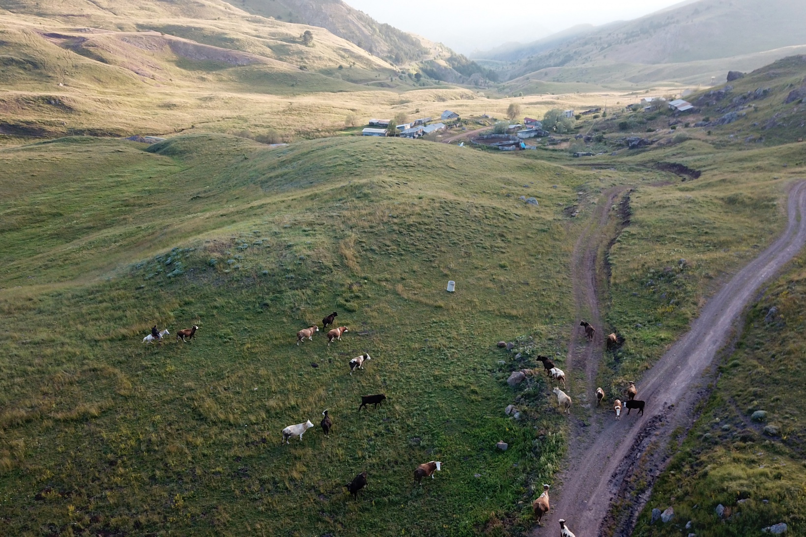 Gümüşhane'nin yüksek kesimlerinde sobalar sönmek bilmiyor 3