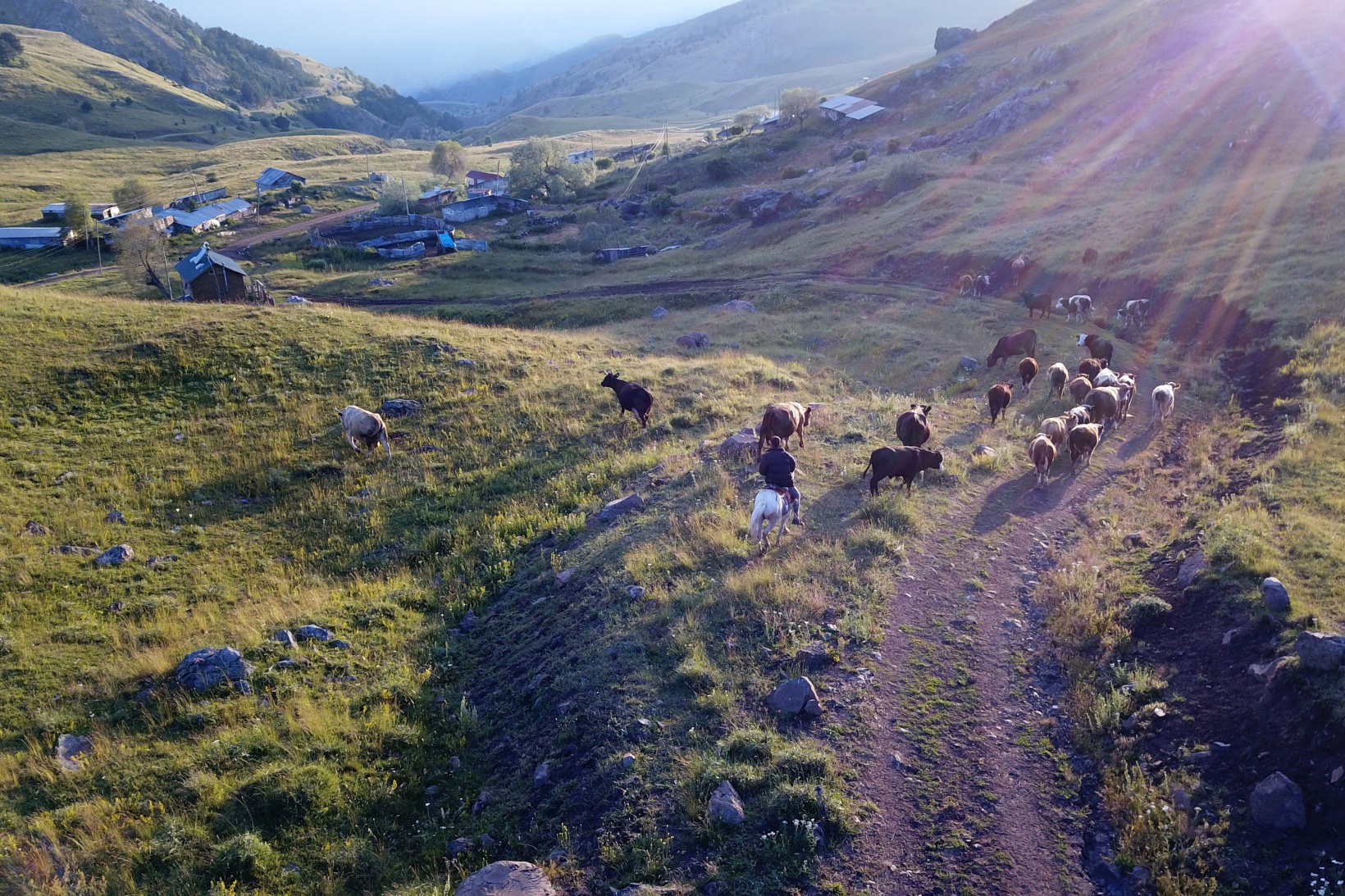 Gümüşhane'nin yüksek kesimlerinde sobalar sönmek bilmiyor 13