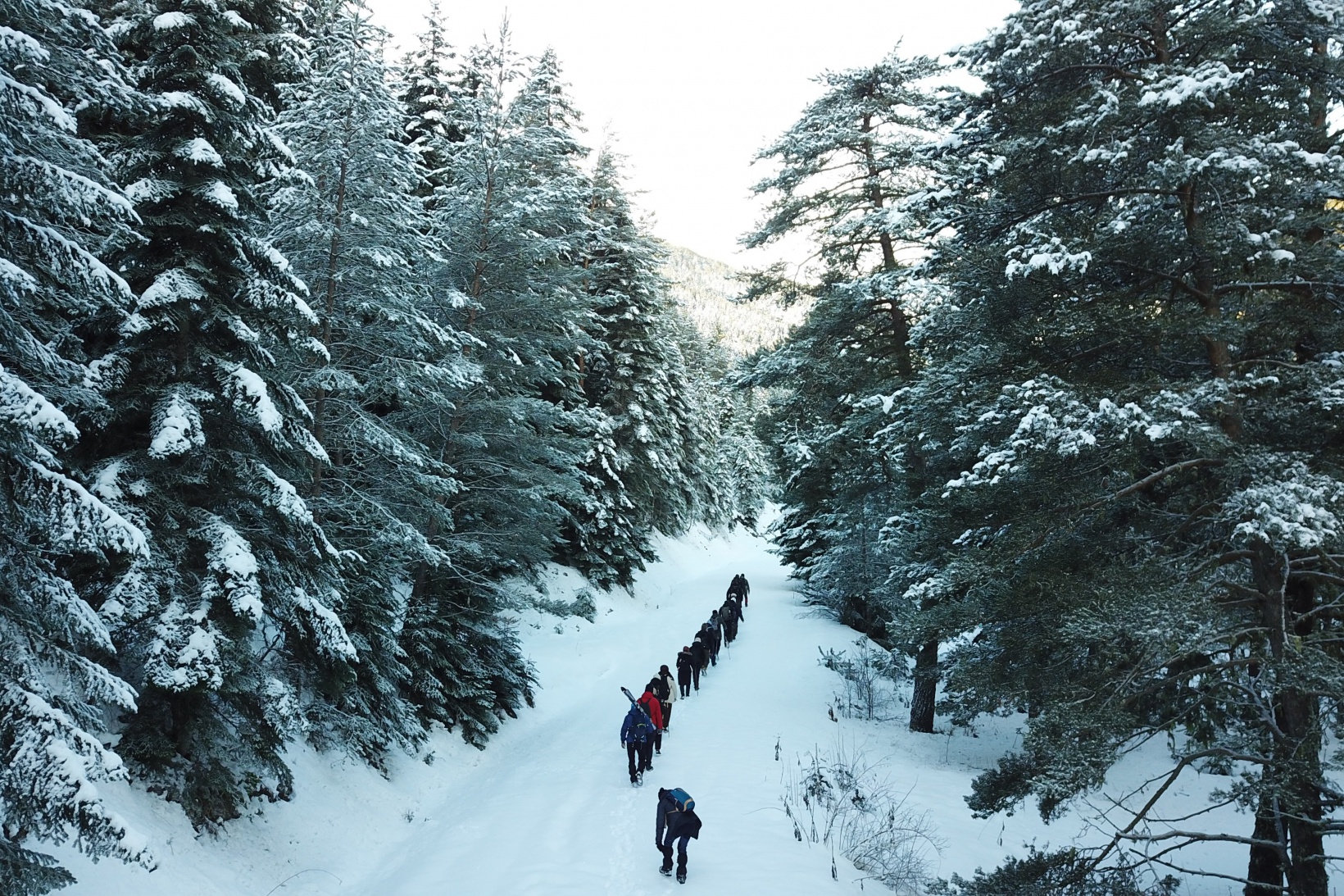 Gümüşhaneli dağcılardan Kalis yaylasına unutulmaz kış yürüyüşü 64