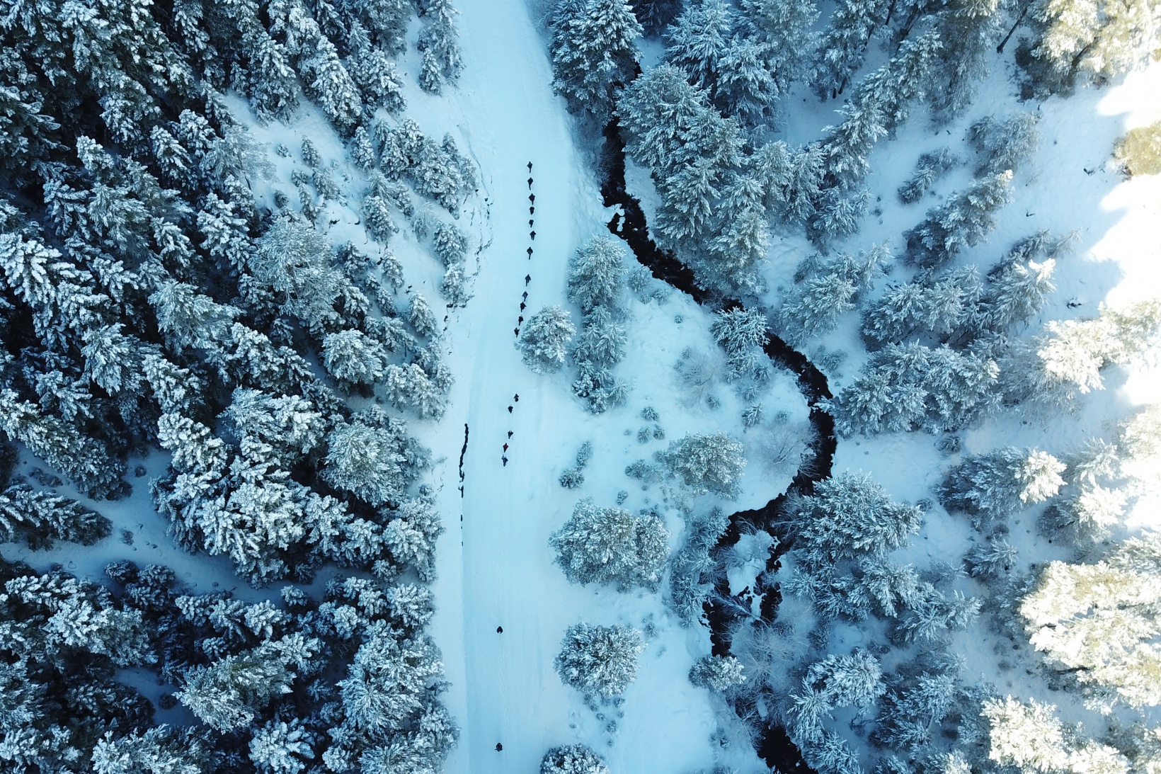 Gümüşhaneli dağcılardan Kalis yaylasına unutulmaz kış yürüyüşü 32