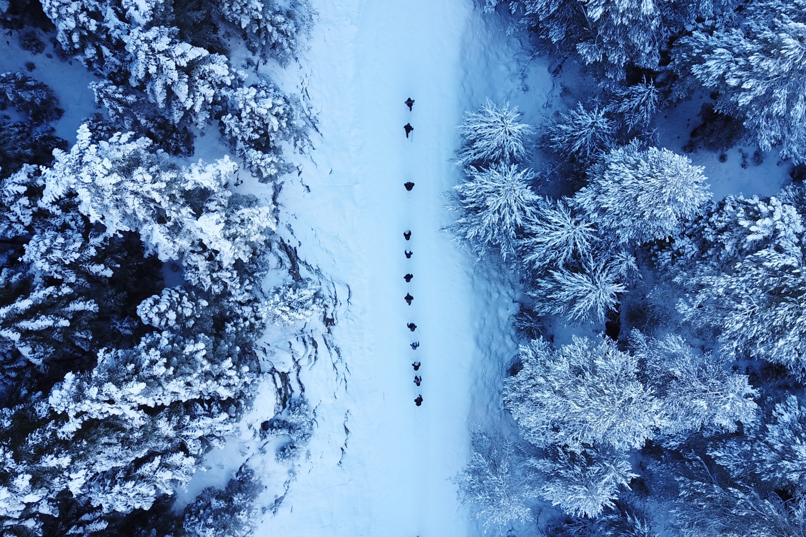 Gümüşhaneli dağcılardan Kalis yaylasına unutulmaz kış yürüyüşü 14