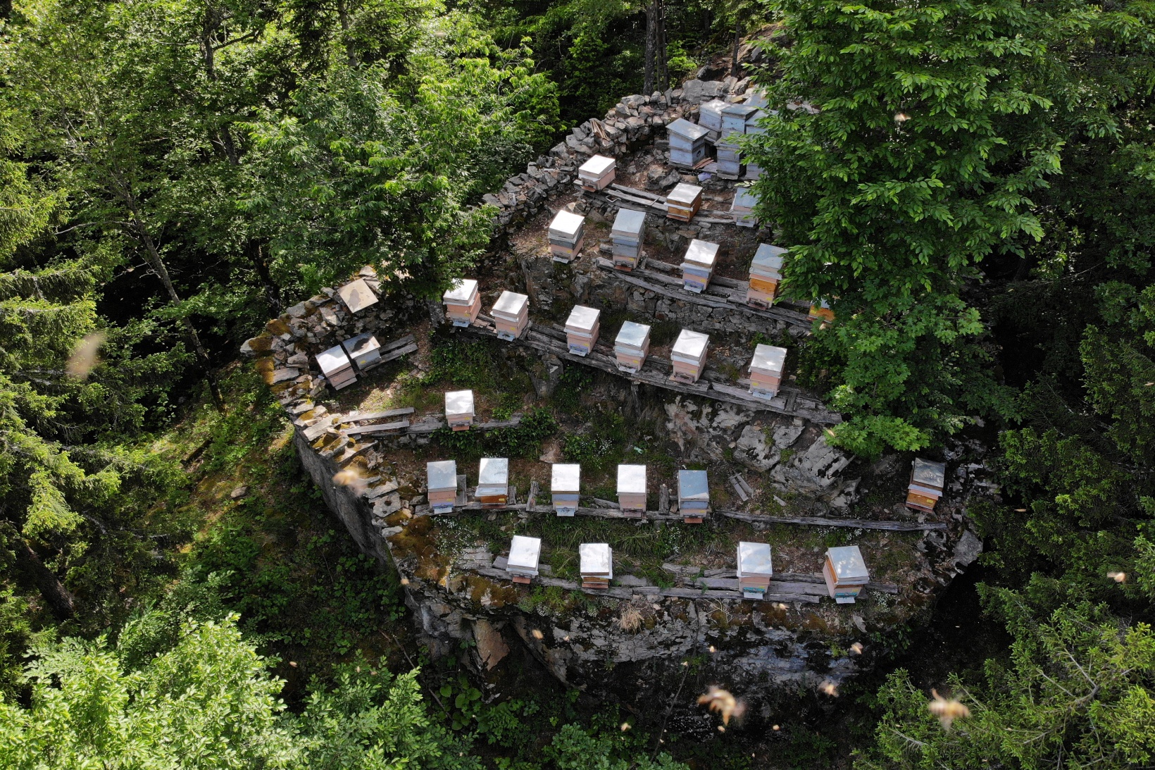 Asırlardır kayalar üzerinde bal üretiyorlar 10