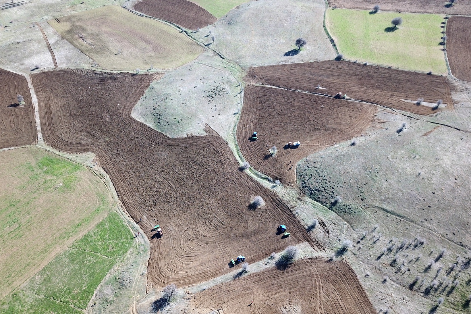 Gümüşhane’de 20 yıldır ekilmeyen tarlalar ekilmeye başlandı 12